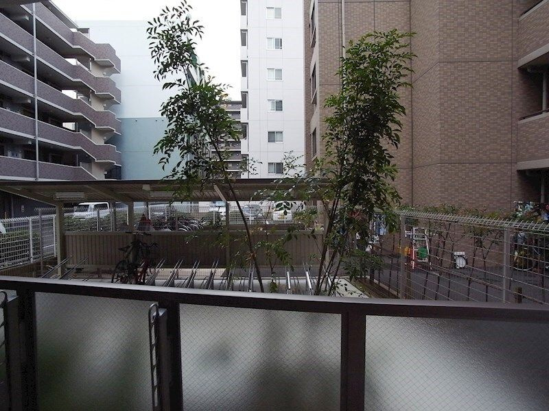 ＩＷＡ３の展望