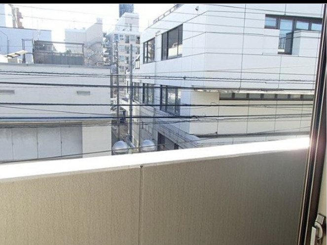 ハーモニアスコートの展望