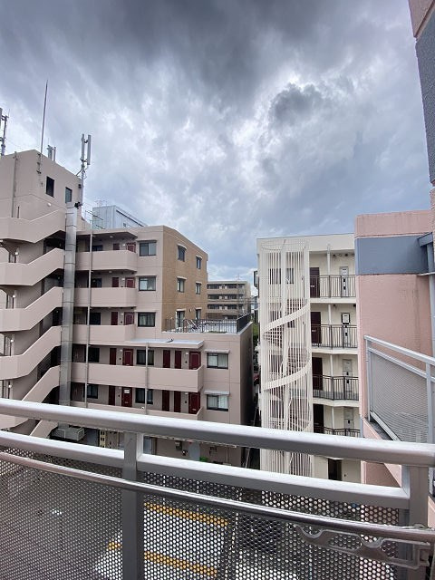 尼崎市南武庫之荘４丁目の賃貸マンションの展望
