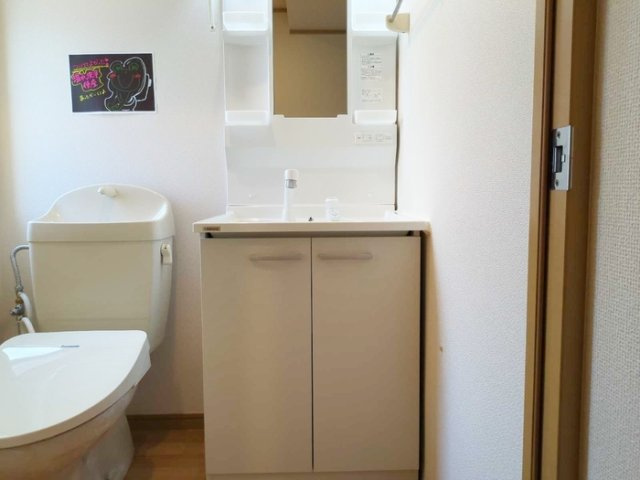 グランデスの洗面所