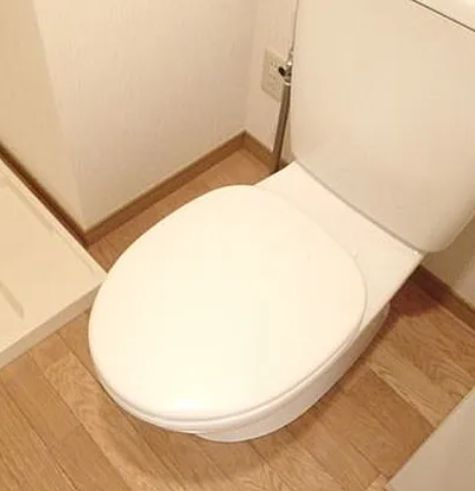 パディホームズ一口坂のトイレ|落ち着いた色調のトイレです