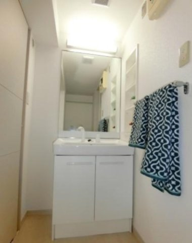 プラザ社田の洗面所