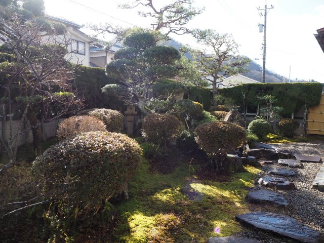 越前市妙法寺町　東南の角地の家の庭