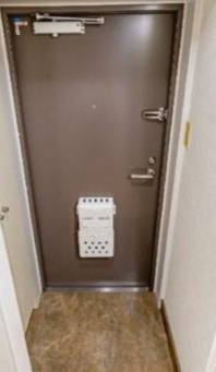 大和市中央２丁目の賃貸マンションの玄関