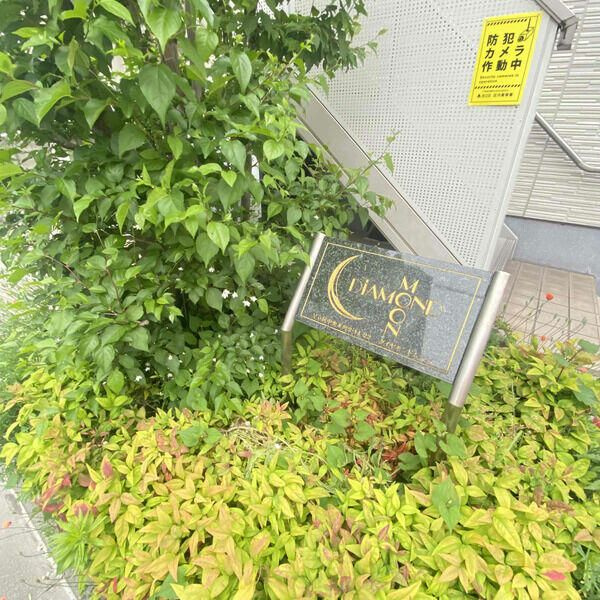 ダイヤモンドムーン