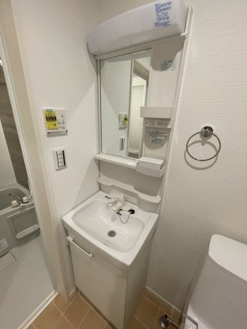 グランデパーチェ稲田堤の洗面所