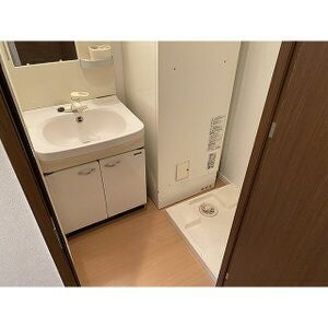 エクセレンシア天神の洗面所