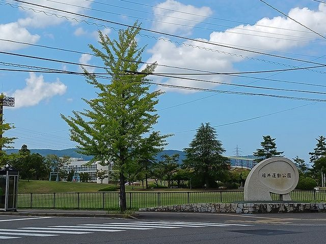サウスパーク２１のその他