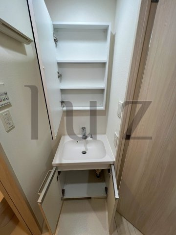 ブライズ川崎本町の洗面所