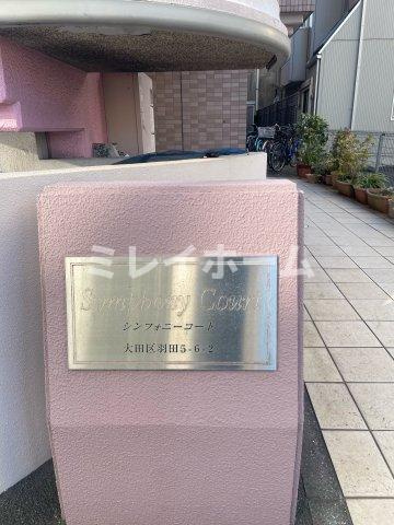 シンフォニーコートのその他