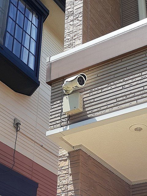 サニーエレガンスのその他