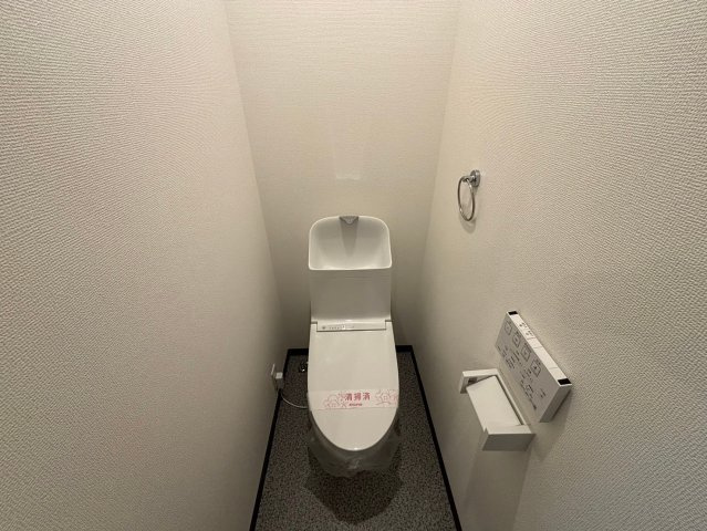 メゾン・ハクトー姫路駅前のトイレ