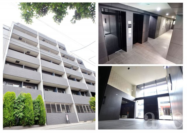 練馬区豊玉北３丁目の賃貸マンションの外観|フェニックス練馬桜台　RC造　7階建