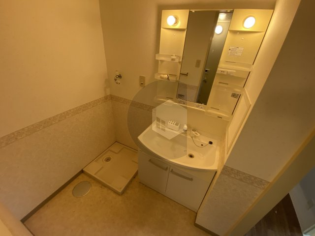 第5大原マンションの洗面所