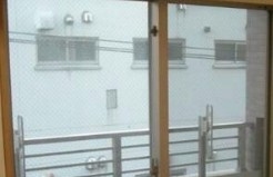 シンシティー両国の展望