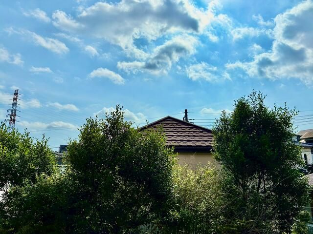 ローズハウスの展望