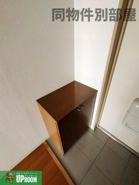 ソフィアの収納
