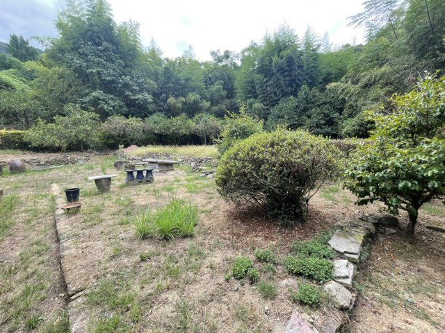 平山新町戸建ての庭
