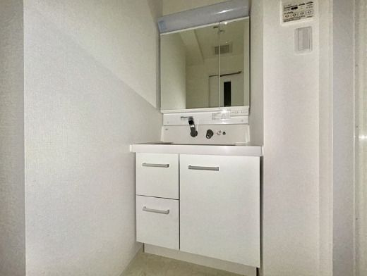パティーナ本所吾妻橋の独立洗面台