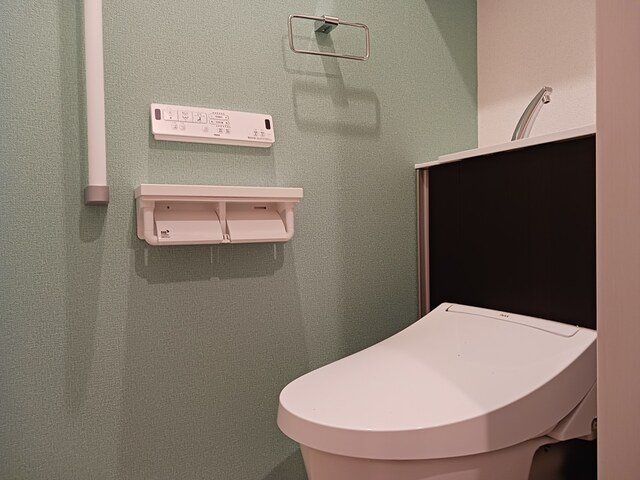 ヴィレッタ　和のトイレ|落ち着いた色調のトイレです