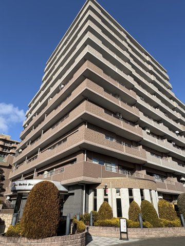 ライオンズガーデン柏木