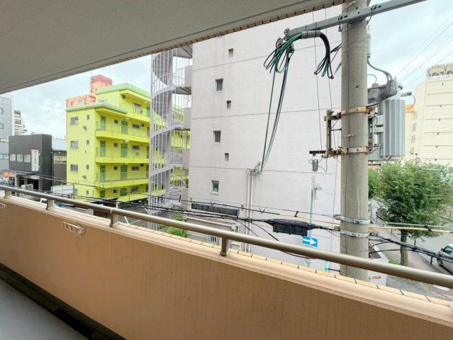 プルメリア東三国サウスの展望