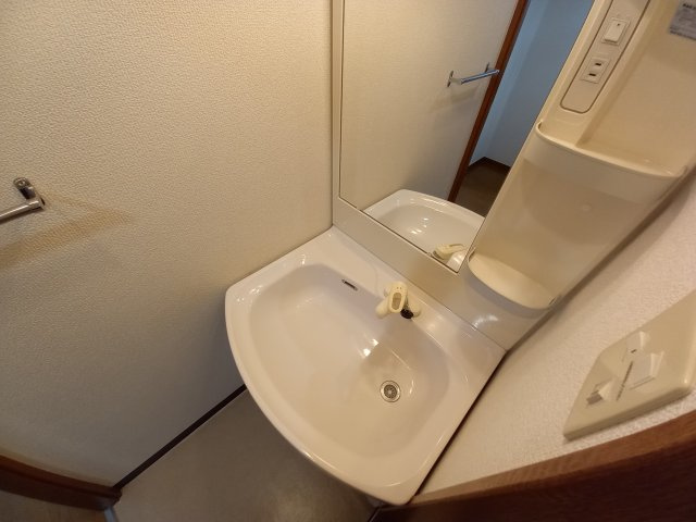 サン　リゾート28の洗面所