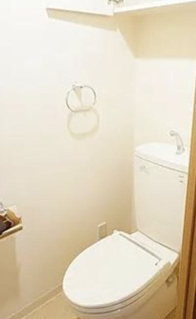 北区浮間３丁目の賃貸マンションのトイレ