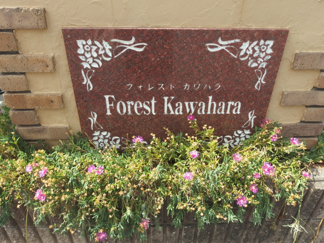 フォレストカワハラのその他