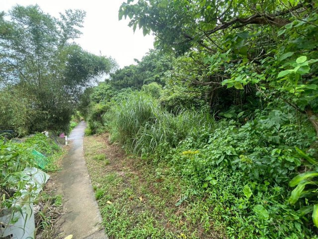 沖縄市園田の周辺