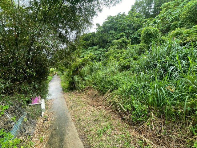 沖縄市園田の周辺