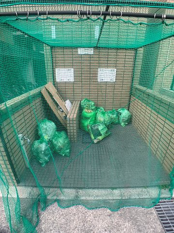 ボンシックコロニーⅡ番館のその他共用部分
