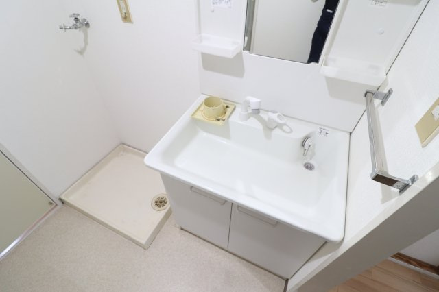エクセレントライフ真砂の洗面所
