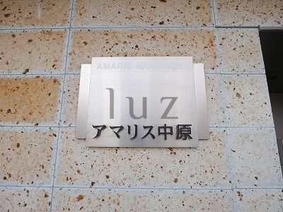 アマリス中原のその他