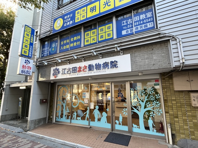 セレスティアル小竹町のその他|ドリトル動物病院