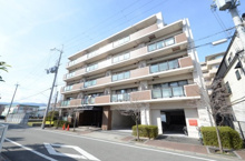 ベルパレス高木の画像