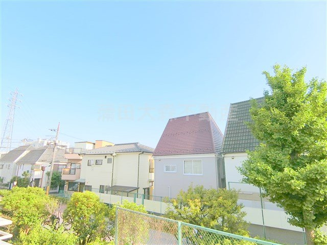 アコルト