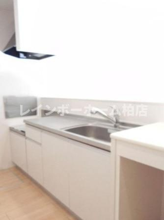 特典：仲介手数料が50％OFFです‼のキッチン|キッチンです
