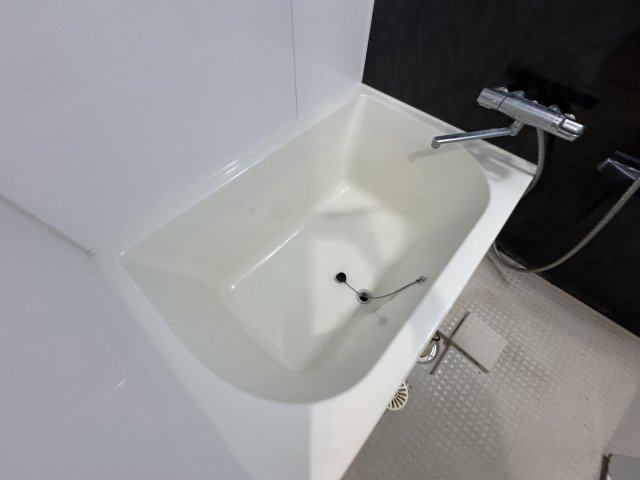 クランエシオの浴室