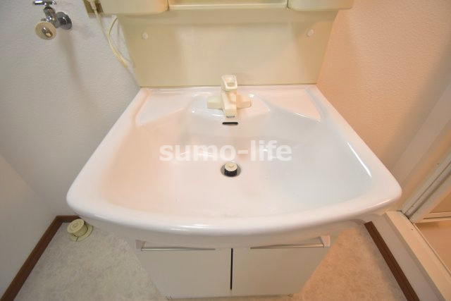シティコートの洗面所