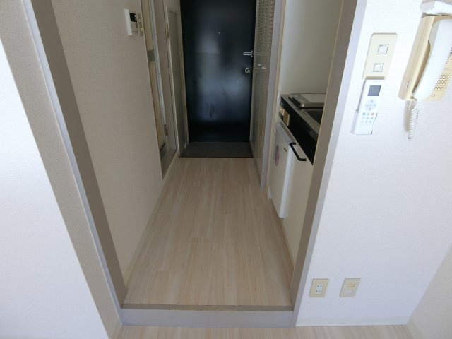 ナズ中馬込レックスの玄関|※別部屋参考写真
