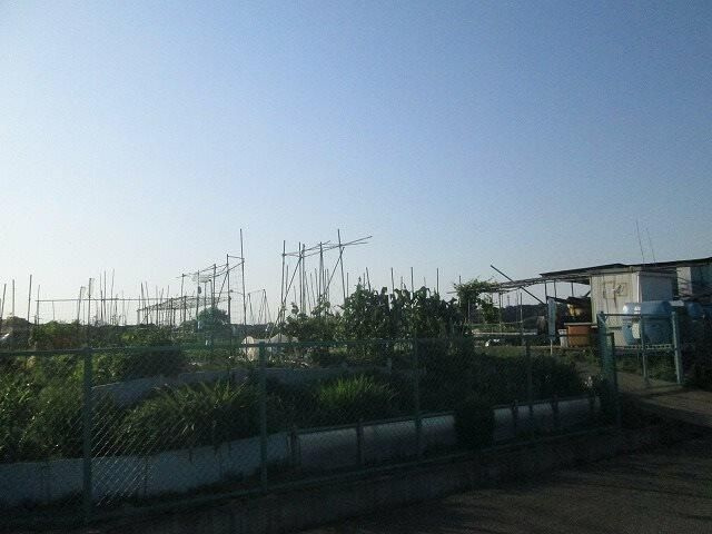 ジュネス十日市場Ａ棟のその他