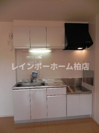 特典：仲介手数料が50％OFFです‼のキッチン|キッチンでお料理をお楽しみください
