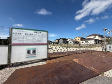 ポローニアの画像