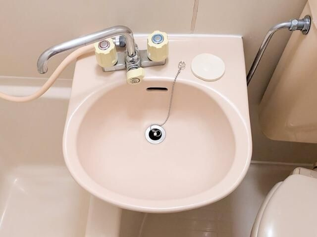 フェニックス茗荷谷の洗面所