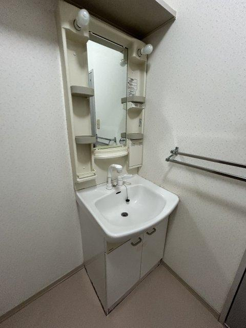 メゾン匠の洗面所