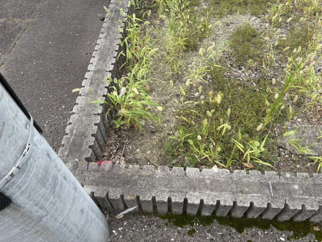太白区大野田売地の周辺