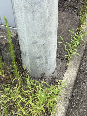 太白区大野田売地の外観