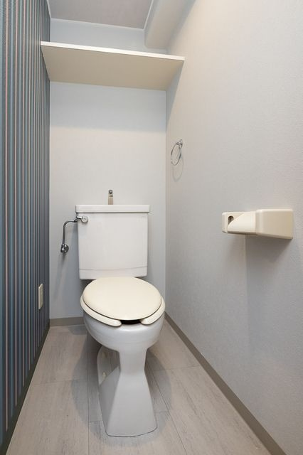 カーザ・エッチェルサ世田谷（増築部分）のトイレ|ゆったりとした空間のトイレです