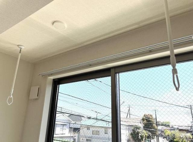 ミモザのその他